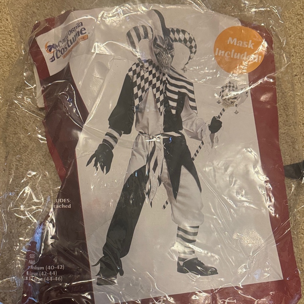 California Costumes Adult size M  Jester Costume - Black and White